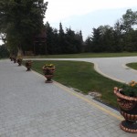 DSCF9186