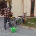 DSCF9255
