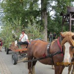 IMG_1169