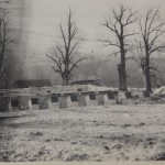 DSCF9437
