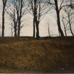 DSCF9550