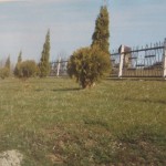 DSCF9618